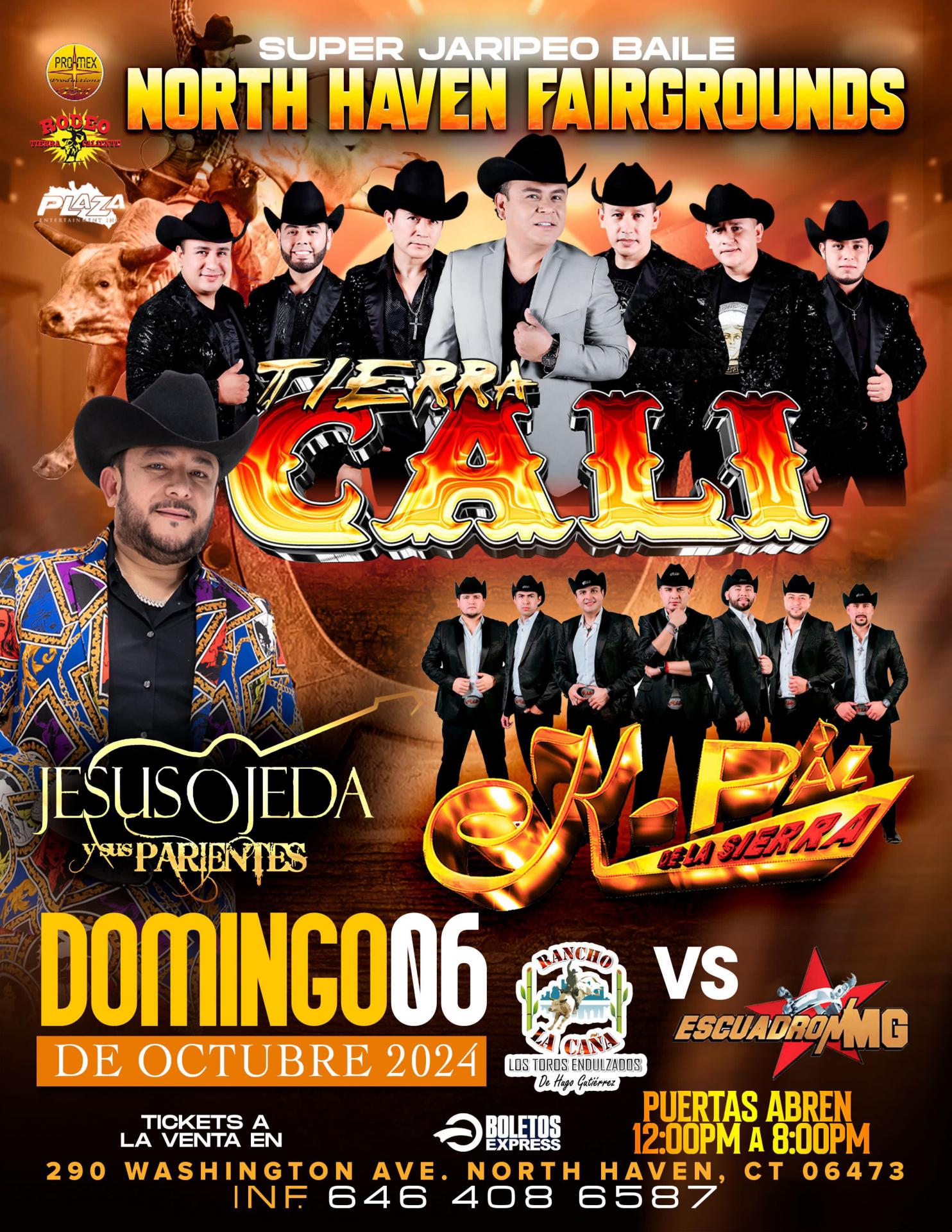 SUPER JARIPEO BAILE