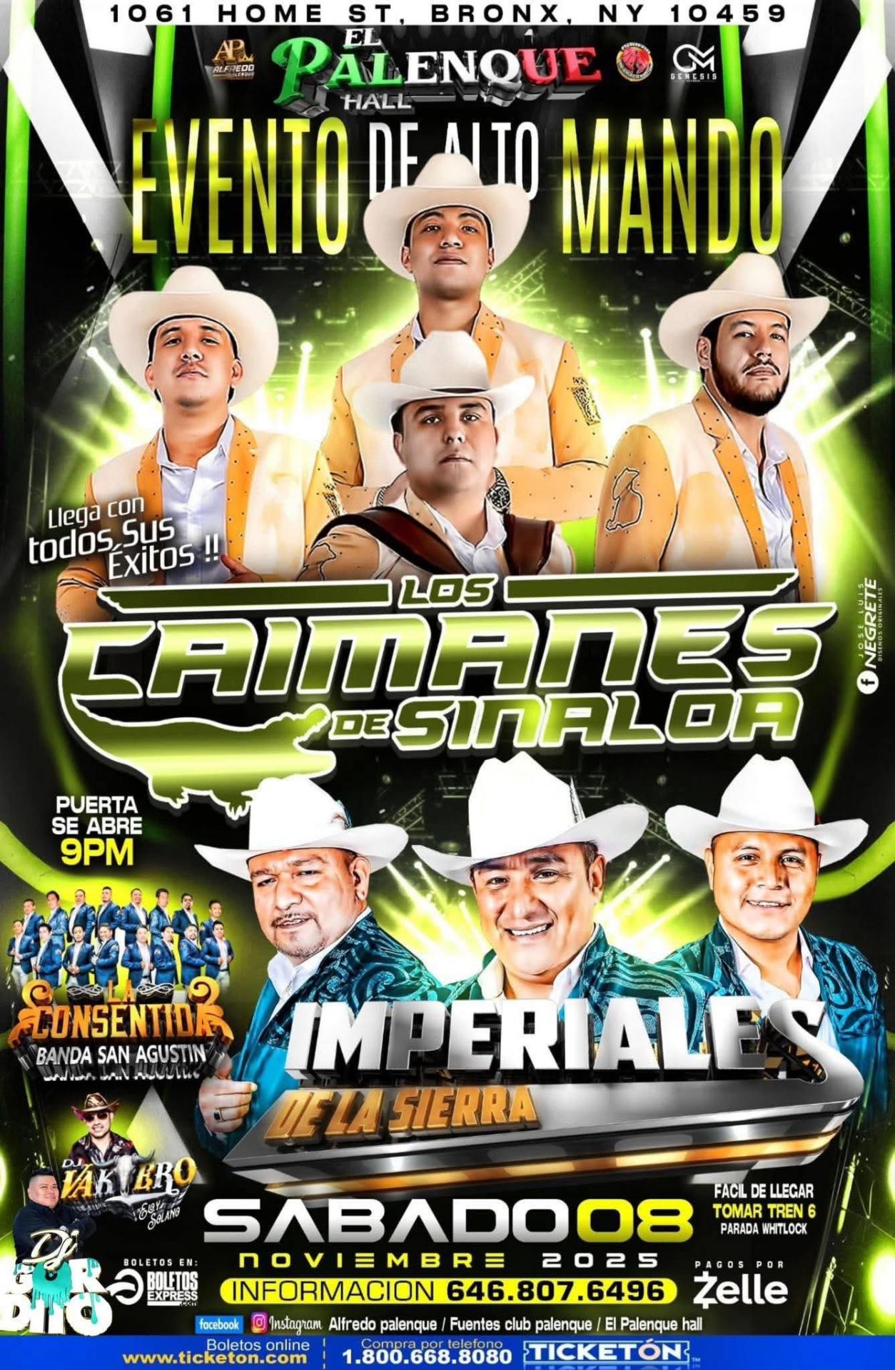 LOS CAIMANES DE SINALOA | IMPERIALES DE LA SIERRA & LA CONSENTIDA BANDA SAN AGUSTIN